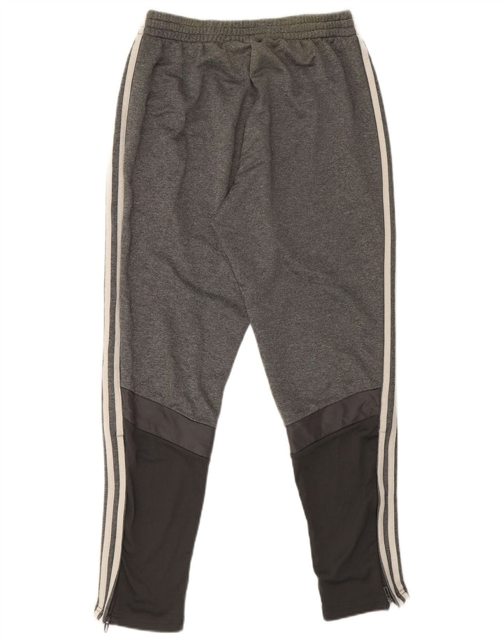 Pantaloni de trening pentru bărbați Adidas, gri mediu, poliester