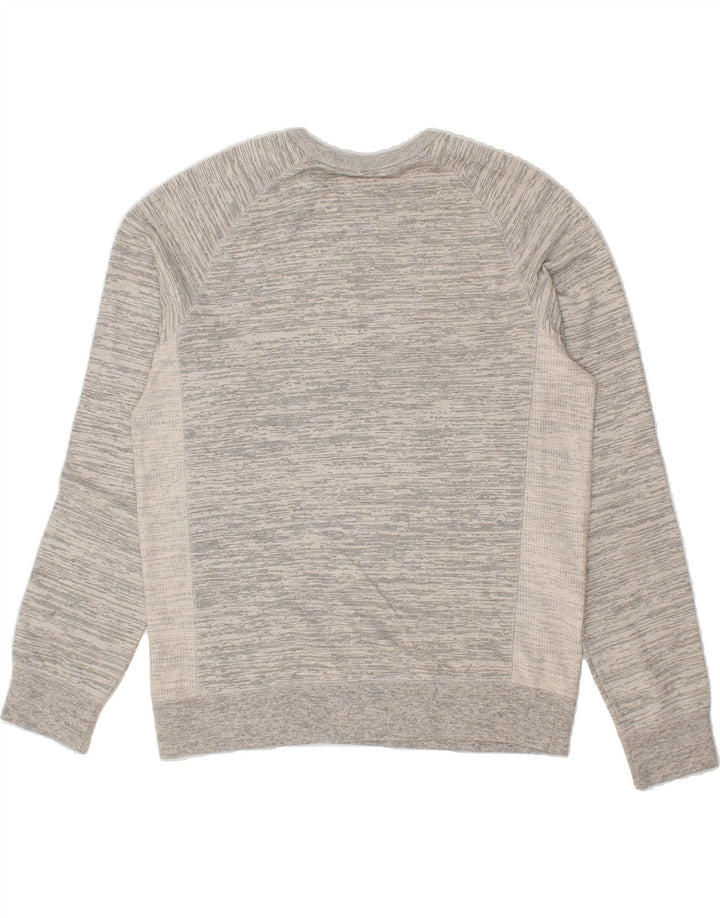 CHAMPION Mens Sweatshirt Jumper Large Grey Pinstripe Cotton Vintage Champion and Second-Hand Champion from Messina Hembry 